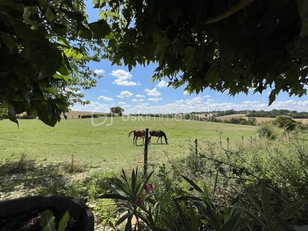 Propriete de 280 m²