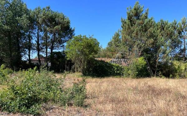 Terrain à vendre 99 000 € Linxe 730 m² DPE