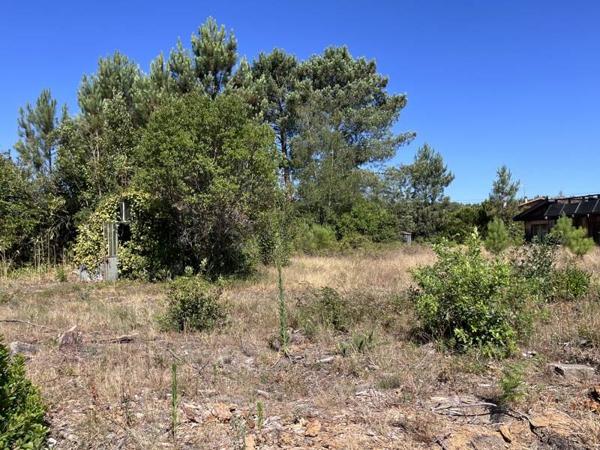 Terrain à vendre 99 000 € Linxe 730 m² DPE