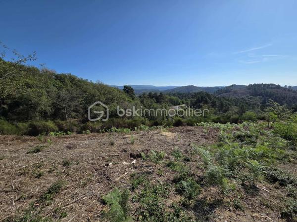 Terrain de 1 974 m²