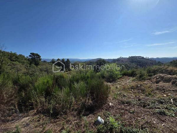 Terrain de 1 974 m²