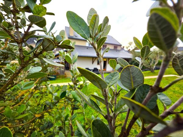 Baugé coeur-de-ville : maison de ville 6-7 chambres avec terrain et garage !