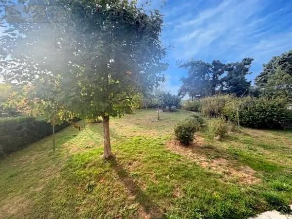 Achat - Maison Bagneux 49400 5 pièces 105 m 2 1070 m 2