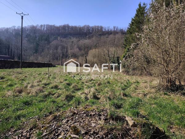 Terrain constructible