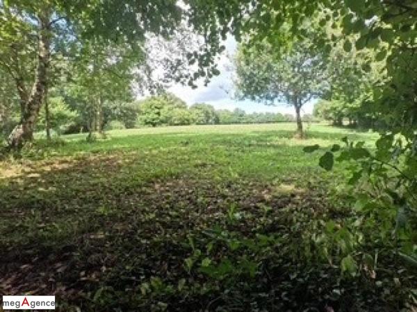 Maison à LIGNOL, 56160 - 5 pièces 116m²