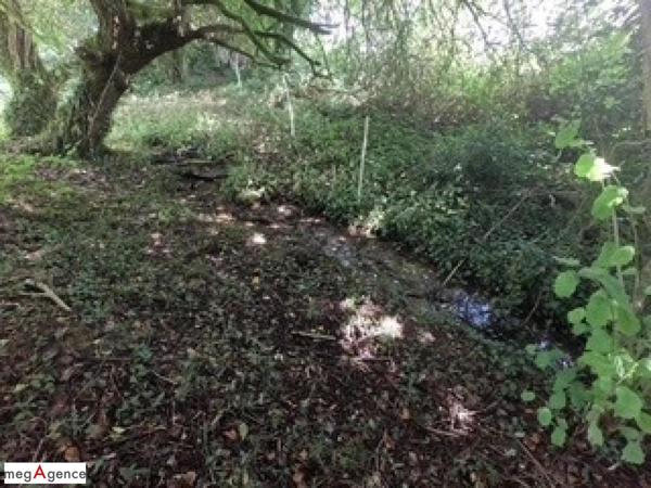 Maison à LIGNOL, 56160 - 5 pièces 116m²