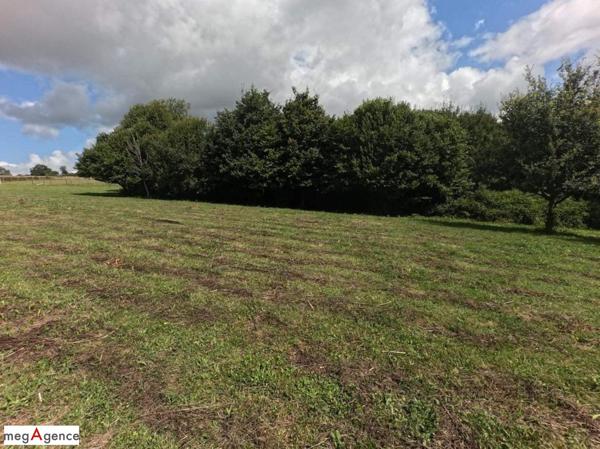 Maison à LIGNOL, 56160 - 5 pièces 116m²