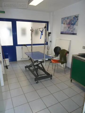 Location - Fonds et/ou murs commerciaux Cambrai 59400 7 pièces 187 m 2 741 m 2