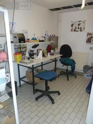 Location - Fonds et/ou murs commerciaux Cambrai 59400 7 pièces 187 m 2 741 m 2