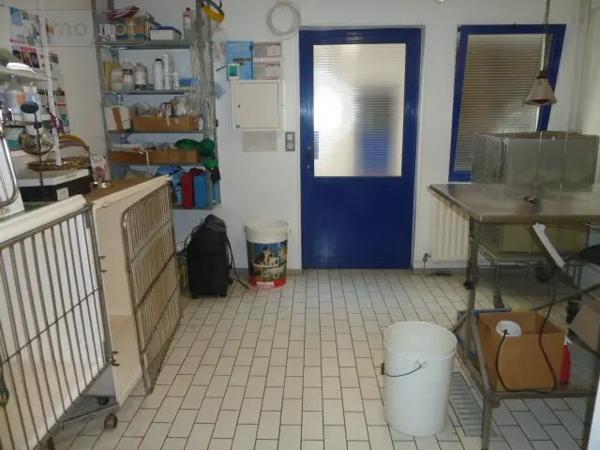 Location - Fonds et/ou murs commerciaux Cambrai 59400 7 pièces 187 m 2 741 m 2