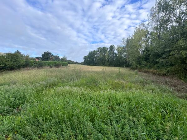 Terrain constructible  ESTILLAC (47)