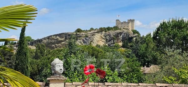 Grande demeure de caractère - très belle vue - piscine