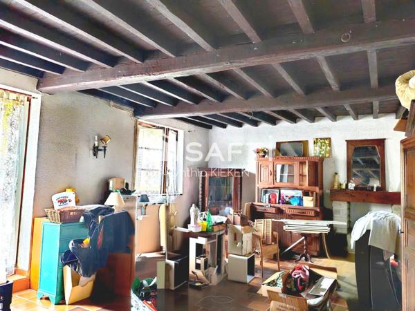 MAISON ANCIENNE AVEC CACHET + GRANGE+ATELIER ET DEPENDANCES