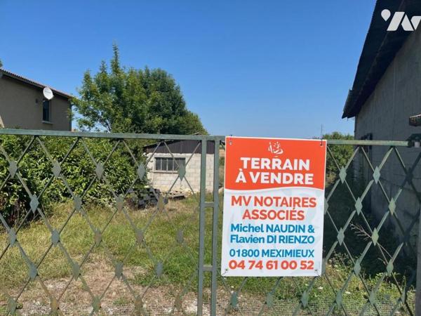 VILLIEU LOYES MOLLON -