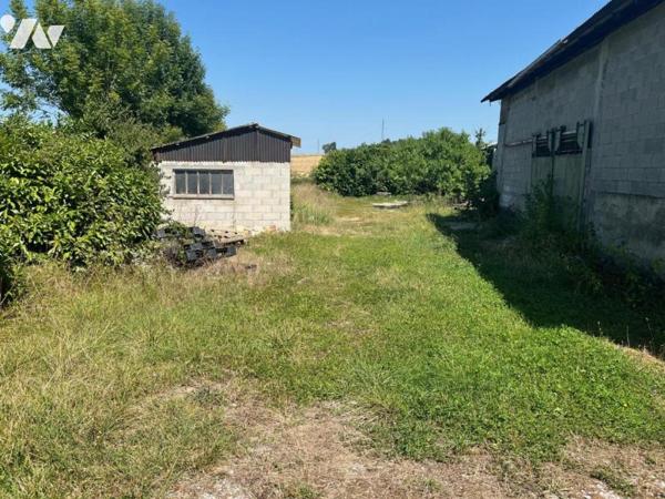 VILLIEU LOYES MOLLON -