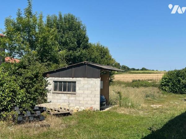 VILLIEU LOYES MOLLON -