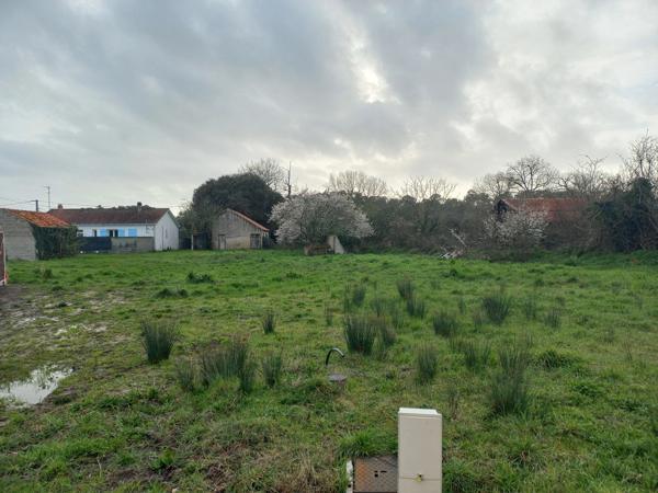 Terrain 564 m2 SAINT JEAN DE MONTS
