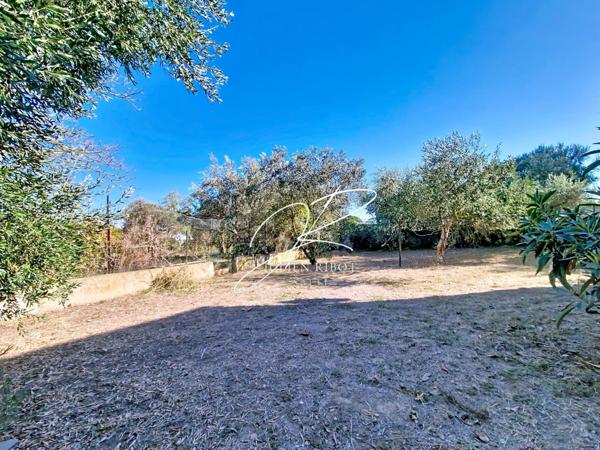 Maison T3 63 m² dépendance terrain 1315 m²