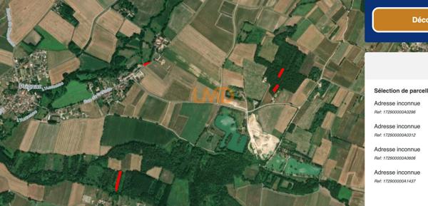 Bois & taillis – Environ 1 hectare – Prignac