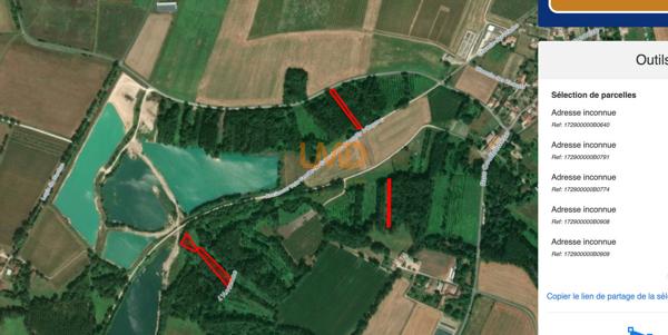 Bois & taillis – Environ 1 hectare – Prignac