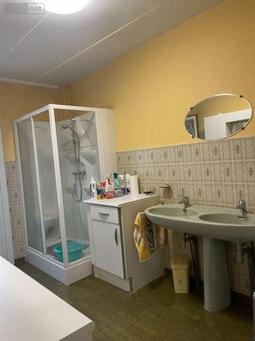 Local mixte (Pro/Hab) à vendre à Bailleul dans le Nord (59270), ref : F30411