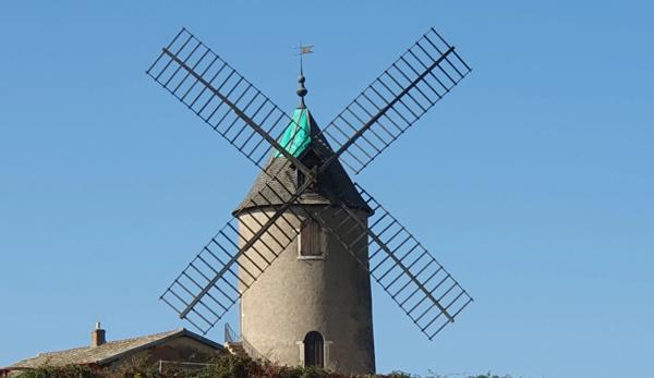 A vendre vignes AOC Moulin à Vent