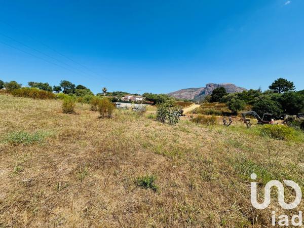 Terrain à vendre 1 200 m² Afa
