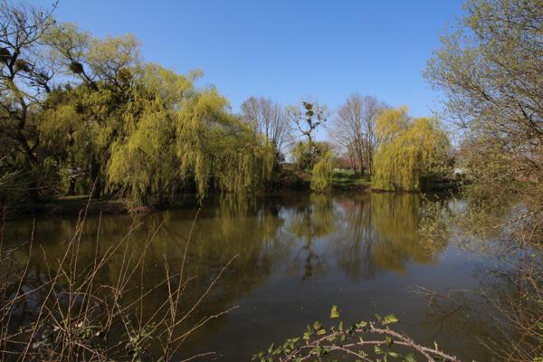 Lacs à vendre à Nuillé-sur-Vicoin (53970) - Mayenne