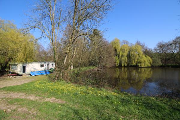 Lacs à vendre à Nuillé-sur-Vicoin (53970) - Mayenne