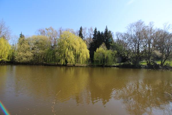 Lacs à vendre à Nuillé-sur-Vicoin (53970) - Mayenne