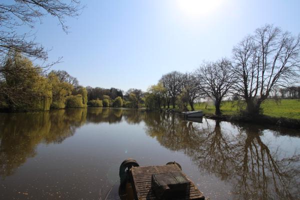 Lacs à vendre à Nuillé-sur-Vicoin (53970) - Mayenne