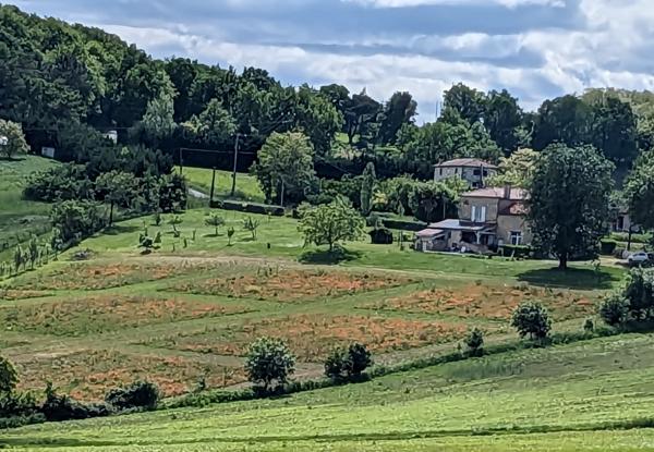 Maison à vendre à Port-Sainte-Marie (47130) - Lot-et-Garonne