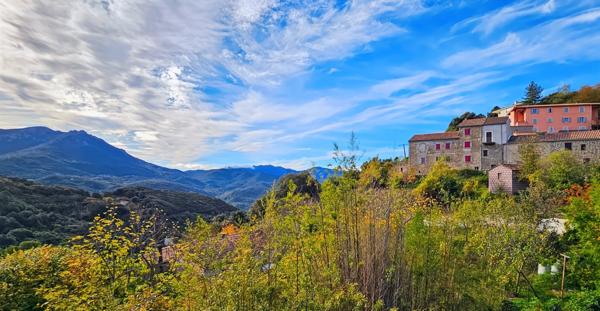 Appartement à vendre 3 pièces LEVIE (20)