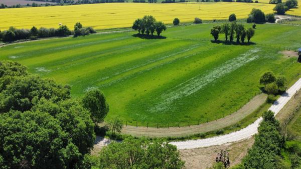 Propriété équestre d’exception : écurie 37 boxes, maison, piste, étang, 15 hectares