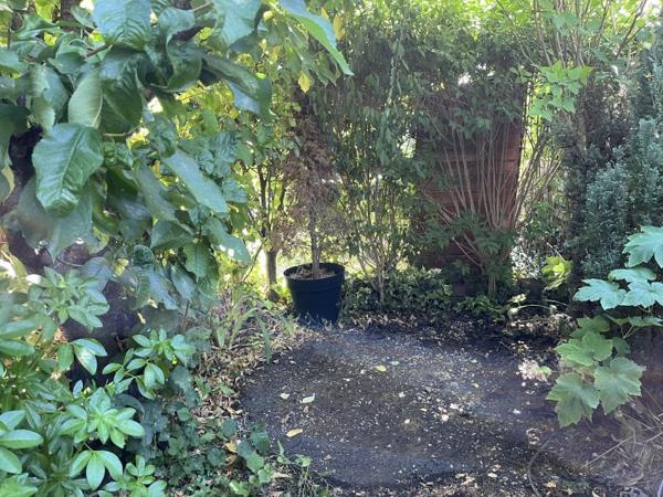 Vente / Maison à Romilly-sur-Seine (10100)