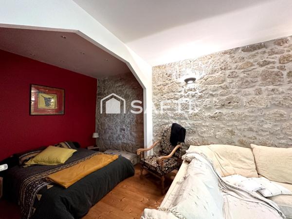 Superbe Maison en Pierre Rénovée avec Dépendances à Nérac