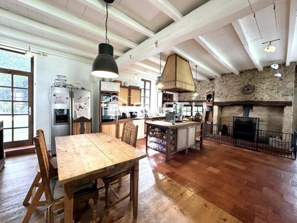Superbe Maison en Pierre Rénovée avec Dépendances à Nérac