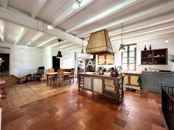 Superbe Maison en Pierre Rénovée avec Dépendances à Nérac