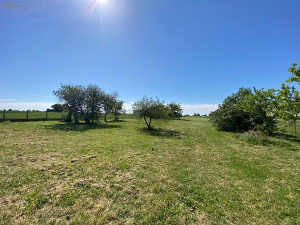 Maison à vendre à Saint-Genou dans l'Indre (36500), ref : 1052439