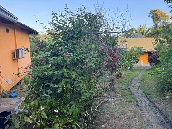 Coup de coeur pour cette ravissante maison au début de la route de KAW