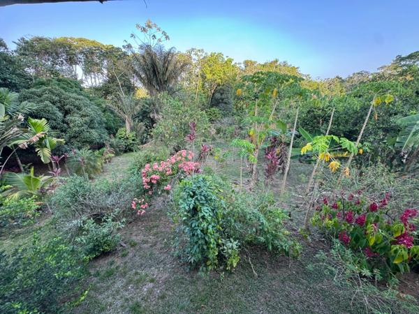 Coup de coeur pour cette ravissante maison au début de la route de KAW