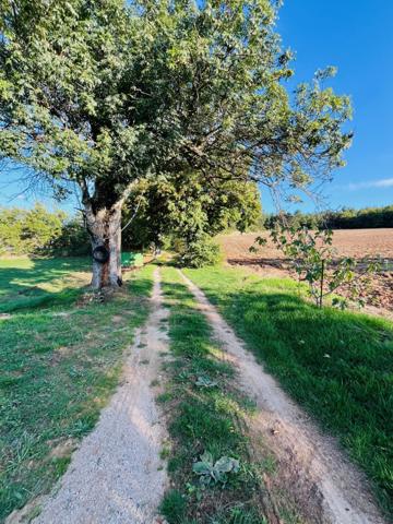 Sault (84390) Belle bâtisse ancienne sur emplacement idyllique au milieu de 107 hectares !