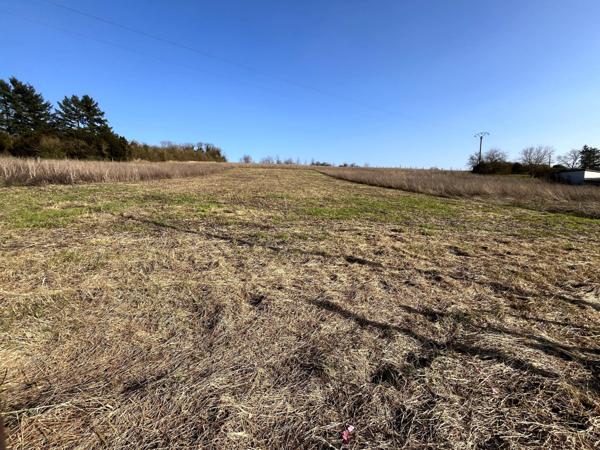 Situé dans la charmante commune de Sergines (89140)