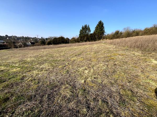Situé dans la charmante commune de Sergines (89140)
