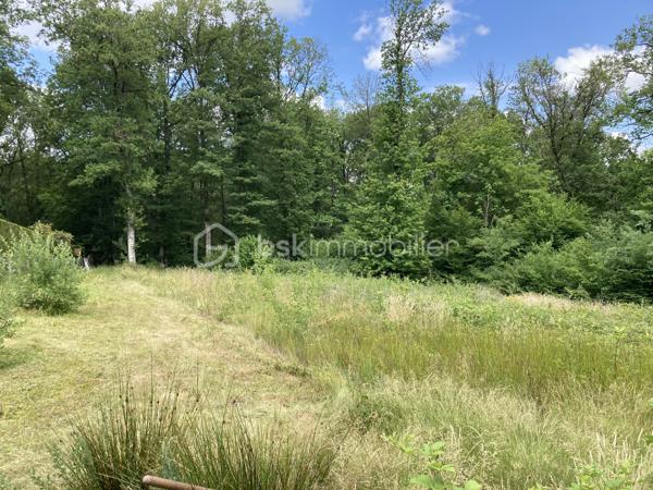 Terrain de 4 417 m²