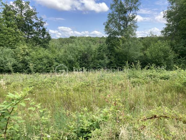 Terrain de 4 417 m²