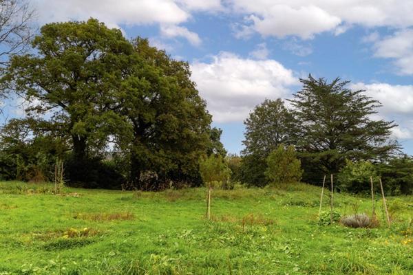 Longère  + Maison de pays - Idéal pour des Gîtes