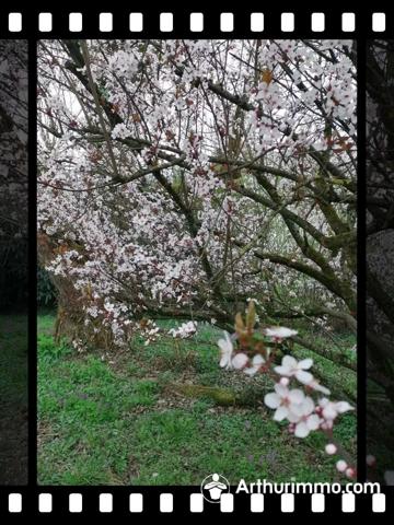 Vente Appartement 6 pièces 135 m2 à Sochaux