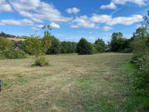 Terrain à Batir à vendre à Pionnat en Creuse (23140), ref : 10986/693