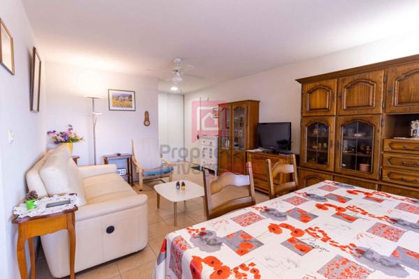INVESTISSEURS- appt T3  67.32 m2 avec terrasse 14 m2, garage, parking. loué